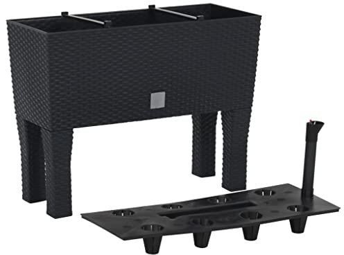 CBLDF Hochbeet Anthrazit 60x25x46cm PP Rattan