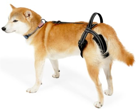 Tragehilfe Hund, 1 Stuck Reflektierendes Hunde Hebegeschirr, Verstellbare Gehhilfe mit Schwachen Hinterbeinen, Fortgeschrittenem Alter, Verletzungen, Behinderungen