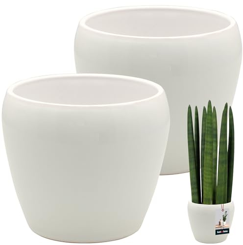 KOTARBAU® 2 unidades de maceta blanca interior redonda ⌀ 15 cm H: 15 cm cerámica esmaltada macetas interiores sobremaceta para plantas macetero para orquídeas interiores maceta grande Flower Pot