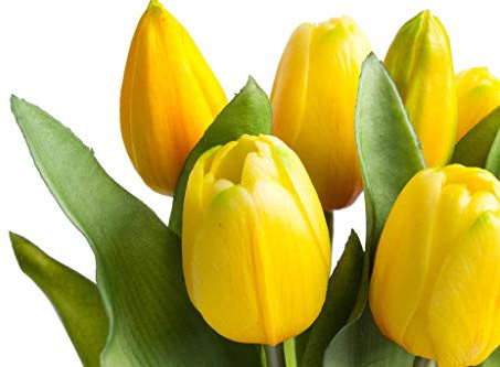 Nova-Nature künstliches Tulpenbündel Sally mit 4 Tulpen und 3 Tulpenknospen real Touch (gelb)