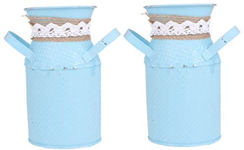 KONTONTY 2 Stücke Rund Eisen Blumenvase Rustikale Pflanzer Desktop Ornament Für Blumensträuße Garten Dekoration