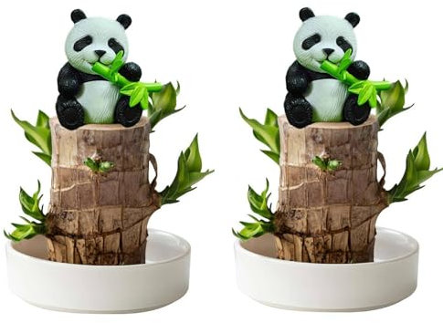 2 piezas de madera de la suerte de Brasil con maceta y figura, planta de madera brasileña de la suerte, tocón hidropónico en maceta, planta de madera de la suerte para decoración de escritorio (con 2