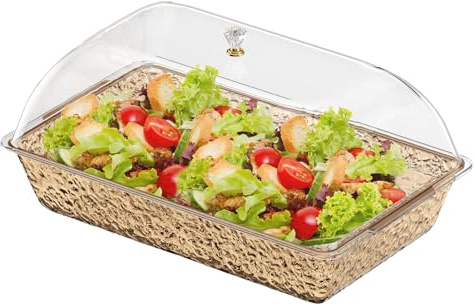 Plateaux de service | 16.34x9.84 pouces Plateau de service | Plateau de fruits avec compartiments et couvercle | Plat de fête réfrigérée rectangulaire Vide à la vaisselle pour les fruits de mer, les l