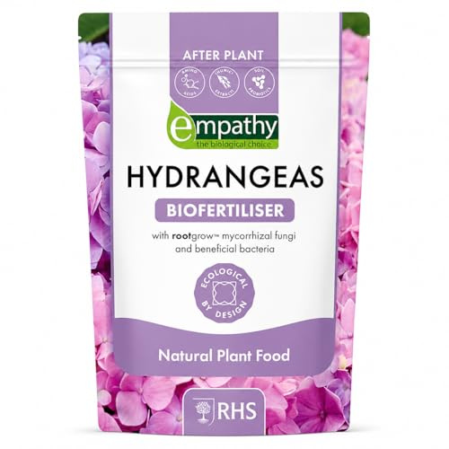 Hydrangea Feed 1kg – Balanced Plant Fertilizer for Healthy Hydrangeas | Boosts Flowering, Enhances Vibrant Color & Promotes Strong Growth