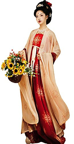 YANLINA Hanfu Hanfu Traditionnel Chinois Déguisement Femme Jupe Élégante Robe De Fée Brodée Pour Cosplay Halloween Noël (Color : Beige, Taille : S)