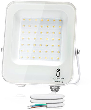 Aigostar - Faretto LED per esterni da 30W 2700lm, IP65 Impermeabile, Luce di sicurezza impermeabile, Bianco naturale 4000K Faretto LED da giardino, cortili, garage, parchi, ecc.
