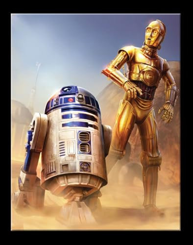 hotrodspirit - Plaque des 2 Robots C3PO et R2D2 tole Star Wars Import des USA