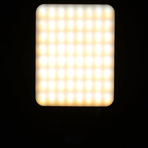 PAMINGONO Magnetic Clip-on LED Cellphone Light Portable Rechargeable Selfie and Video Conference Light for Phone Camera Makeup with Adjustable Brightness Black