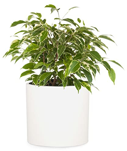 Übertopf S - Blumentopf inkl. Wasserabfluss - Blumentopf hoch 18cm - Übertöpfe für Zimmerpflanzen - Blumentopf 21cm Durchmesser - Pflanzentöpfe - Plant Pot - Blumentopf weiß matt