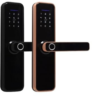 HLVDLSNI HC-001 Serratura for porta con password e impronta digitale for interni, serratura elettronica for porta ufficio e stanza