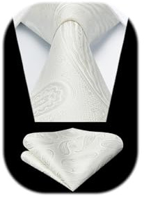 HISDERN Herren Paisley Krawatte Formale LäSsig Floral Krawatten Einstecktuch Hochzeit Partei Beerdigung Krawatte Sets FüR Herren