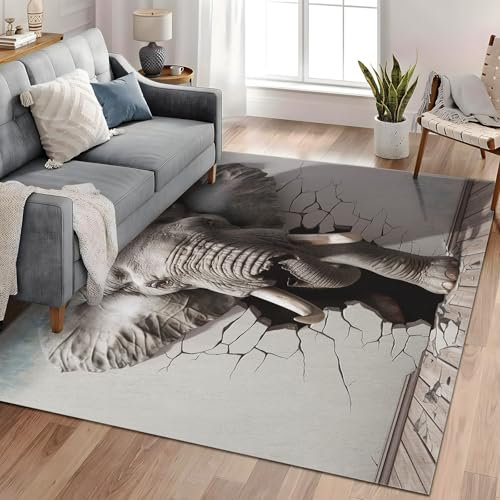 Generisch Teppich Crack-Elefant 160x230 cm Dekoration Schlafzimmer Kinderzimmer Wohnzimmer, Modern rutschfest Waschbar Flanell Kinderteppiche Fußmatten