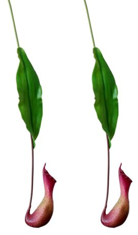 Shirfloral 2Pcs Fake Asian Pitcher Plant Artificial Nepenthes Faux Hanging Venus Flytrap Plants Greenery for Wall Home Living Room Indoor Outdoor Decor (red)