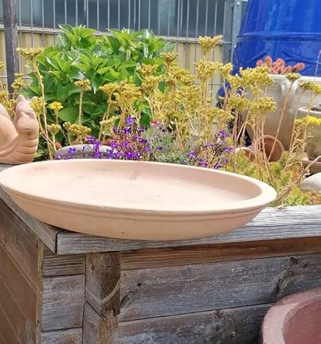 Unterteller, Teller, Untersetzer, Vogeltränke ø ca. 37cm aus Terracotta Terrakotta Blumentopf Pflanzgefäß Pflanzschale Garten Deko Mediterran