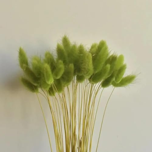 FOSANGPUSHI Getrocknete Blumen,60 Stück 45 cm getrocknete Blumen, Flauschiges Häschen, Kaninchenschwanz, Gras, gemischt, für Hochzeit, Party, Dekoration, natürliche Pampas, Boho-Heimdekoration, grün