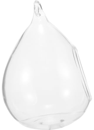 Toddmomy Florero Colgante de Transparente para Suculentas Decorativo para Miniatura Maceta Moderna para y Oficina