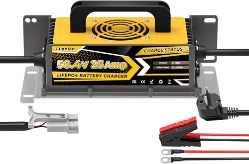 Chargeur de Batterie au Lithium 58,4V 25A pour Les 48V LiFePO4 Batteries, LiFePO4 Chargeur Batterie 48V, étanche IP67