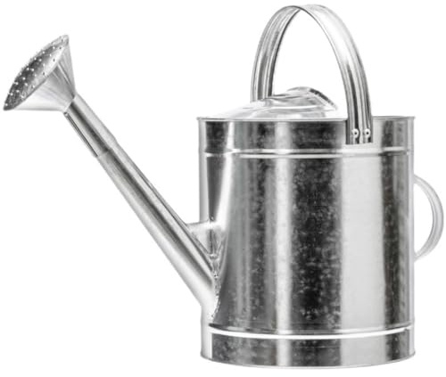 Jnchdghwa Annaffiatoio per Giardino Flower Can da 10L, In Metallo Leggero, con Beccuccio Lungo e Grande Capacità.
