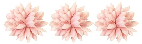 Bouquet de mini dahlias - lot de 6