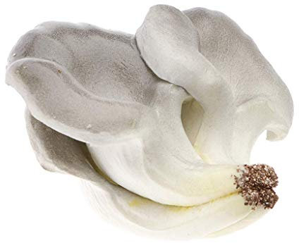 Tubayia Lebensecht Künstliche Gemüse Pilz Modell Schaum Kunstgemüse Kinder Küchenspielzeug