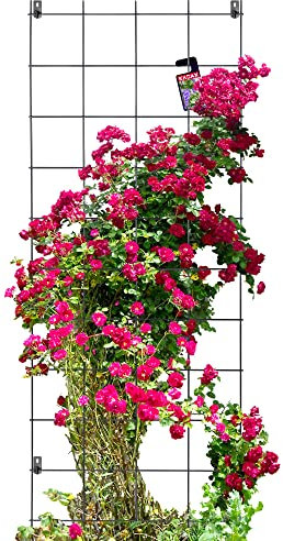 KADAX Rankgitter, Rankhilfe aus Stahl, Wandgitter für Pflanzen, Garten, Balkon, Terrasse, Drahtgitter, Kletterhilfe, Pflanzengitter, Spalier, wandbefestigung, schwarz (65 x 170 cm)