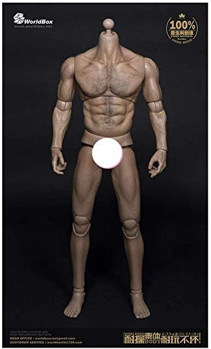ZSMD 1/6 Männlicher Soldat Body Muscle Body Joint Beweglich Geeignet Für Dress Up HT VERYCOOL TTL PHICEN TBLeague (B)