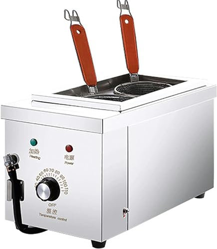 Cuiseur de nouilles électrique commercial, machine de cuisson de nouilles en acier inoxydable à 2 trous, marmite à pâtes de 2 kW, température réglable de 30 à 110 °C, pour les restaurants, les sn