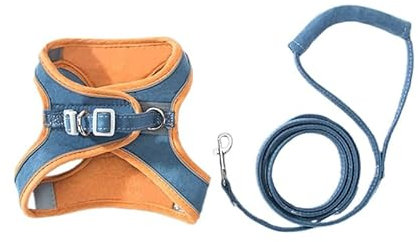 Haustierstolz® - Das Original Katzengeschirr mit Katzenleine (XL(6-7.5kg),Blau-Orange)