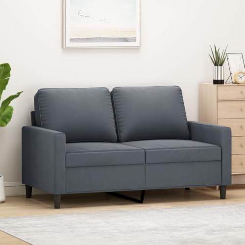 Qnhdfrt 2-Sitzer Sofa Couch Dunkelgrau Samt 120 cm Breit Modernes Design mit Bequemem Sitz für Wohnzimmer Balkon