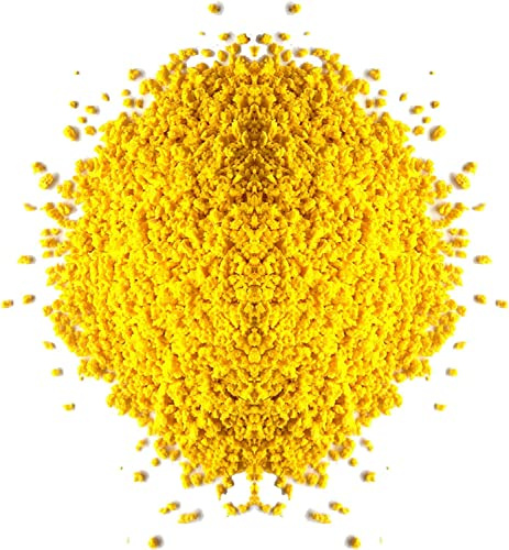 YELLOW EGG BISCUIT 5kg Canary Food Feed Canaries Budgies Egg Crumb