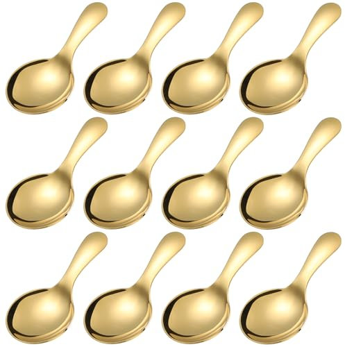 12 Pcs Round Dessert Spoons Stainless Steel Coffee Scoops Short Handle Mini Ice Cream Salt Spoons (G12)