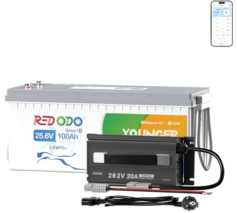 Redodo 24V 100Ah Batterie LiFePO4+24V 20A Chargeur Surveillance Intelligente Bluetooth Protection Contre Basses Températures 4000-15000 Cycles Pour Camping-cars Stockage Solaire Navigation