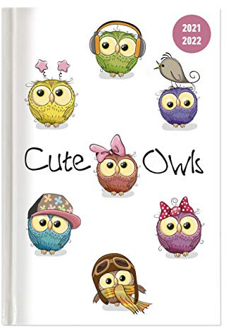 Collegetimer Cute Owls 2021/2022 - Schüler-Kalender A5 (15x21 cm) - Eule - Day By Day - 352 Seiten - Terminplaner - Notizbuch - Alpha Edition (Collegetimer A5 Daily)