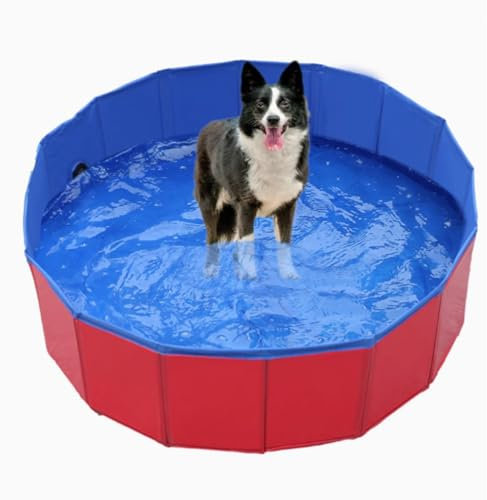 ZHXQRP Piscina per Cani Pieghevole Piscina per Animali Domestici Piscina per Esterni in PVC Vasca da Bagno per Cani Portatile con Scarico per toelettatura