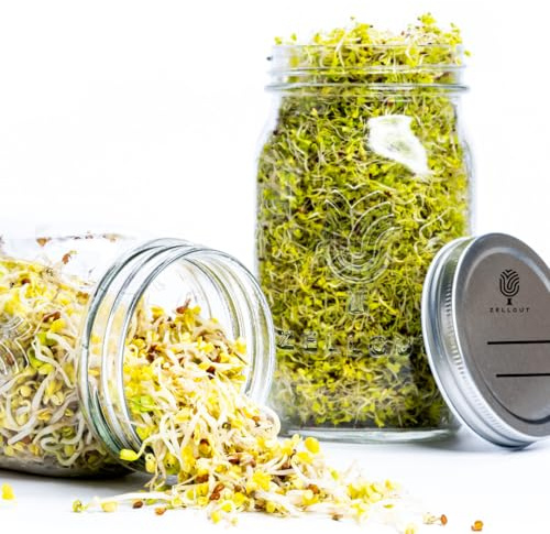 ZELLGUT® Sprouting Jars Set of 2 – Germination Glass 100% Plastic-Free – Storage Jar Function Thanks to Extra Lid – High-Quality Stainless Steel