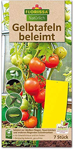 Florissa Natürlich Bio Gelbtafeln beleimt | Schützt vor Weißen Fliegen, Trauermücken, geflügelten Blattläusen und Anderen fliegenden Schadinsekten