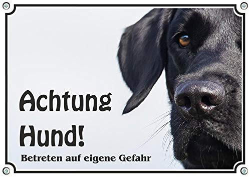 Hundeschild Labrador Retriever schwarz - uv-beständiges Metallschild Fotoschild, DIN A4