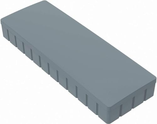 Magnete Papiertiger Rechteck Größe (B x H): 54 x 19 mm, Haftmagnete für Whiteboard, Kühlschrankmagnet, Magnettafel, Magnetwand, Magnet Rund (Grau, (B x H): 54 x 19 mm | 10er Pack)
