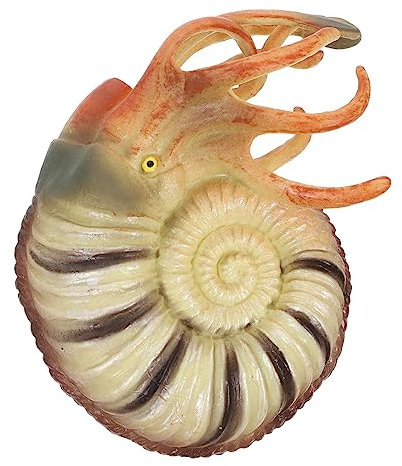 ERINGOGO Sea Animals Model Nautilus Figurine Educational Toy for Boys and Girls Realistic Life Desktop Decoration for Learning and Aquatic Themed Ornaments