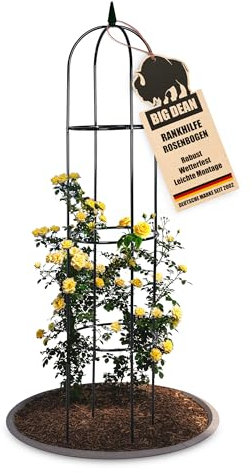 BigDean Rankgitter Metall Rosen Spalier 1,93 hohe Rankhilfe Garten