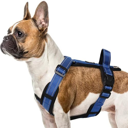 LiebeDD Hundegeschirr Blau XL - Brustgeschirr Hund Mittel Reflektierend Anti Zieh Hunde Geschirr Hund Zuggeschirr Gepolstert mit Griff Dog Harness für Welpen Kleine und Mittelgroße Hunde