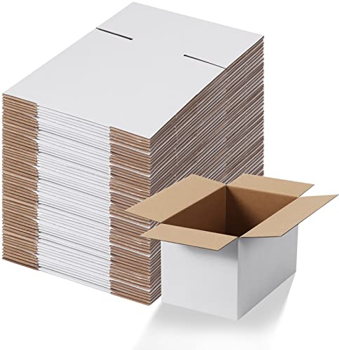 EYMPEU Carton Emballage Colis 25,5x15,3x15,3 cm, Lot de 40 Boites Carton d'Expédition en Blanche