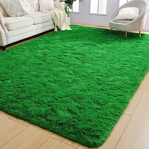 AROGAN Luxury Soft Shaggy Rugs Carpets, 4x6 Feet Bedroom Indoor Plush Area Rugs for Living Room, Green Shag Fluffy Dorm Rug for Kids Girls Teen Nursery Playroom