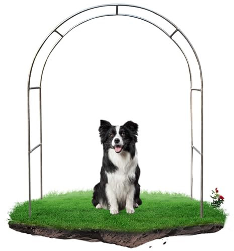 Stainless Steel Garden Arch Free Standing Garden Arbor Trellis 1.2/1.5/1.8/2/2.2/2.4/2.6/2.8/3/3.2/3.5/4/4.5/5m Wide Wedding Arch(Color:19mm,Size:1.2 * 2.3m(3.9 * 7.5ft))