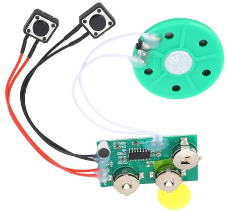 RiToEasysports Kleiner Diktiergerät, 4-minütiges Aufnehmbares Soundmodul für Grußkarten, Bastelarbeiten und Geschenke, Batteriebetriebener Qualitätslautsprecher für Individuelle Nachrichten und den