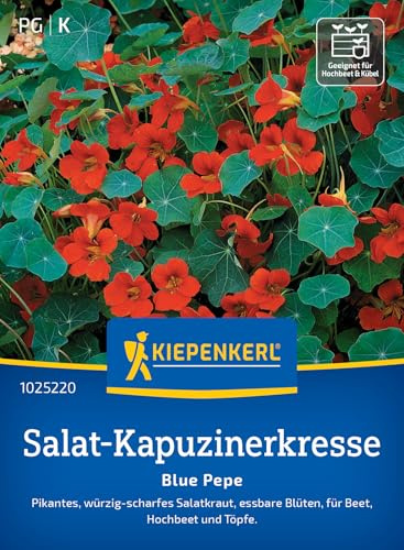 Kiepenkerl Salat-Kapuzinerkressesamen Blue Pepe 1025220, Gemüsesaat | Pfeffrig-scharfer Geschmack für Salate, für Beet & Töpfe, Babyleaf Gemüsesamen für 20 Pflanzen