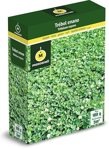Mascarell Semillas, TRÉBOL BLANCO ENANO, Semillas de Césped, Verde y Duradero, Compacto y Resistente, 100g