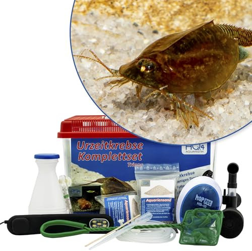 AQ4Aquaristik Triops cancriformis Premium Komplett-Set 6 l mit Urzeitkrebs Eiern, Becken, LED-Beleuchtung, Zuchtansatz, Filter, Luftpumpe, Kescher, Futter, Zubehör, Anleitung