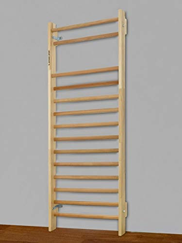 ARTIMEX Sprossenwand für Physiotherapie und Gymnastik - Verwendung in Heimen, Fitnessstudios, Kliniken, Fitnesscentern und Schulen - 230x90 cm, Artikelnr. 221