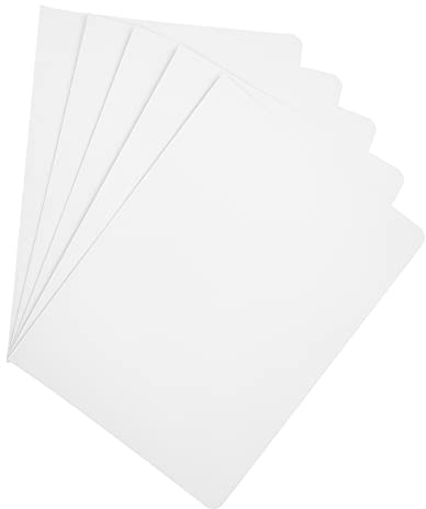 Raylu Paper® - Förpackning med 25 undermappar för dokumentkartong, med fastenerhål och levande färger. 200 g tjocka kraftkartonger (Vit, Folio)
